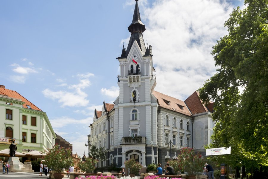 HÔTEL DE VILLE DE KAPOSVÁR