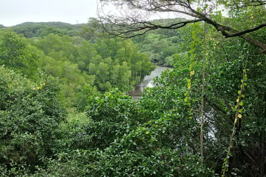 MANGALAVANAM BIRD SANCTUARY