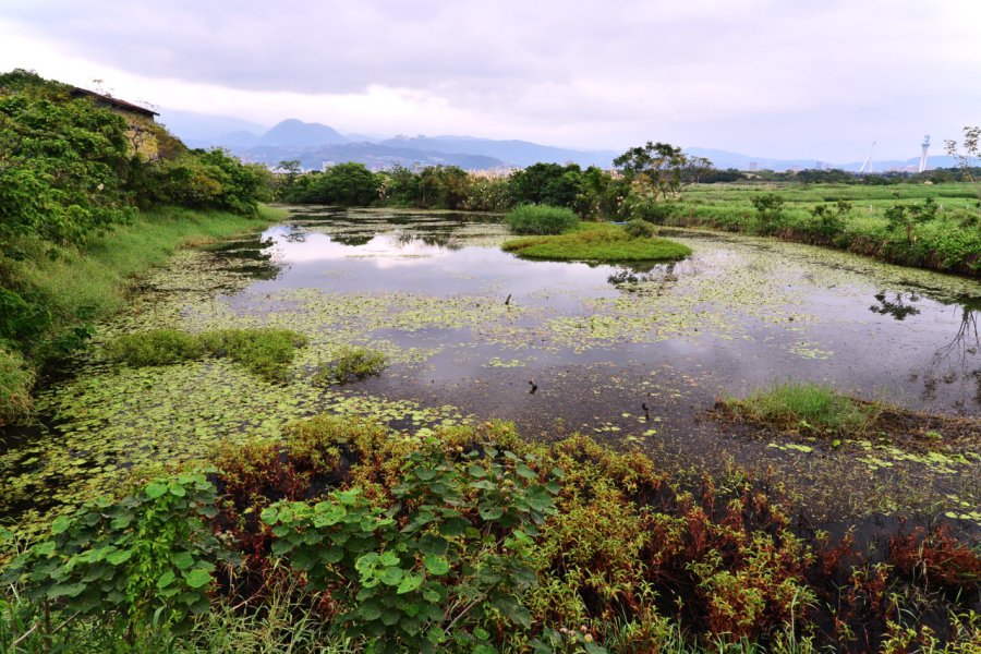 GUANDU NATURE PARK