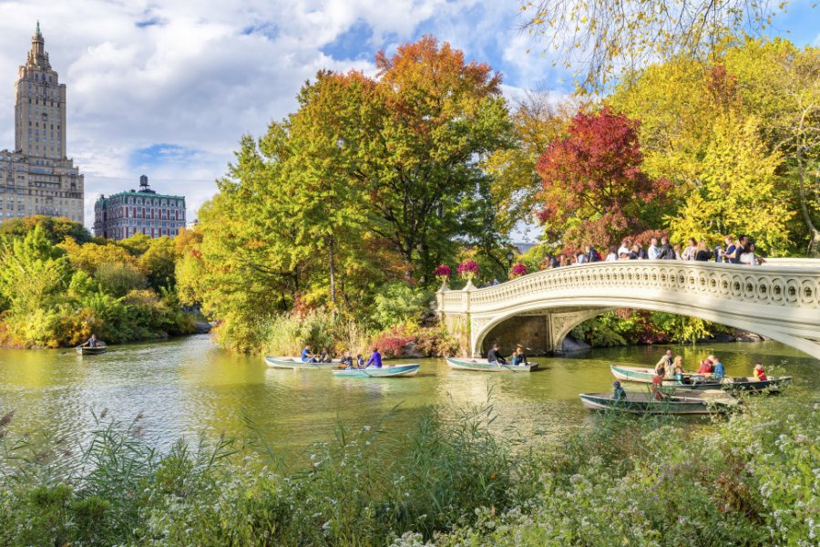Central Park. GagliardiImages - Shutterstock.com