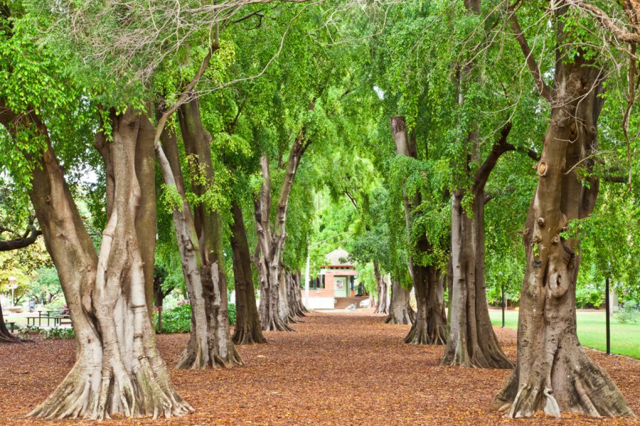 CITY BOTANIC GARDENS