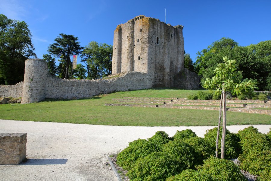 CHÂTEAU DE POUZAUGES