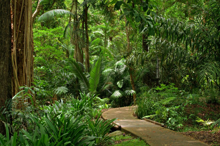 CAIRNS BOTANIC GARDENS