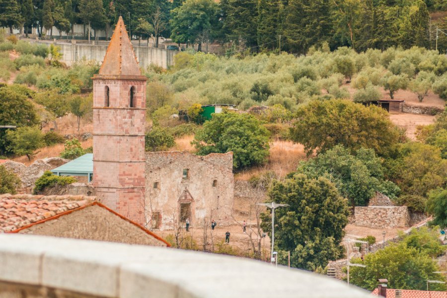 CHIESA SAN ANDREA E TORRE PISANA