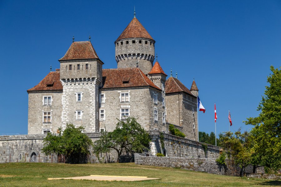 CHÂTEAU DE MONTROTTIER