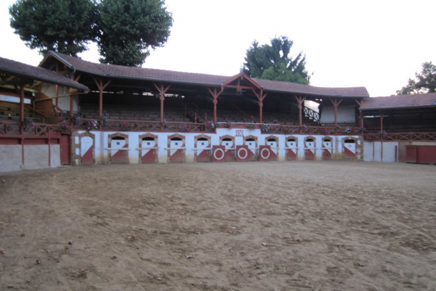 Arènes ovales, dédiées aux courses de vaches landaises. Marine PUERTOLAS