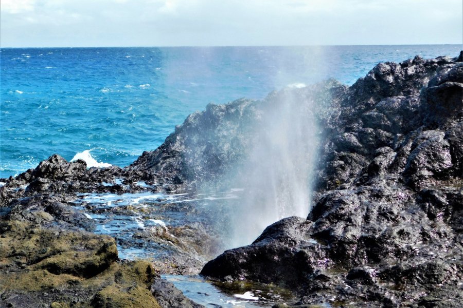 HALONA BLOWHOLE