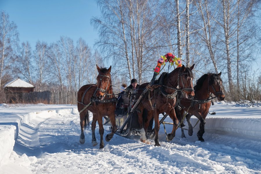 Troilka de chevaux pour fêter les fêtes de fin d'hiver Zastavkin