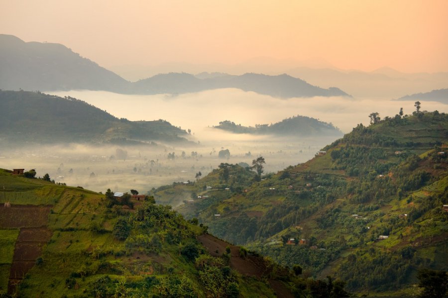 Chaîne des Virunga dans la brume matinale. Martin Mecnarowski - Shutterstock.com