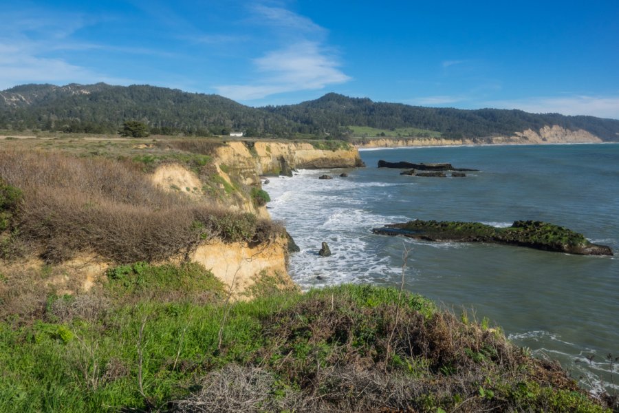 ANO NUEVO STATE RESERVE