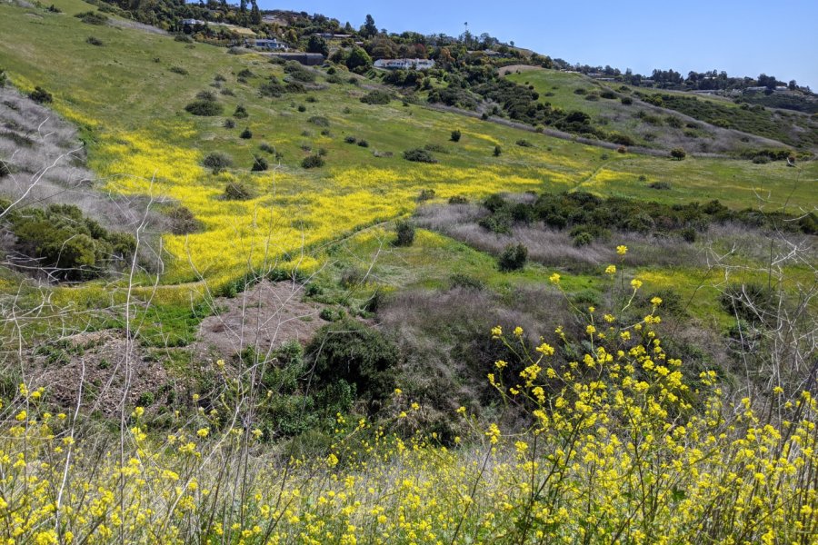 PALOS VERDES PENINSULA LAND CONSERVANCY