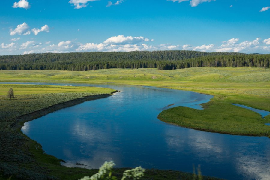 HAYDEN VALLEY