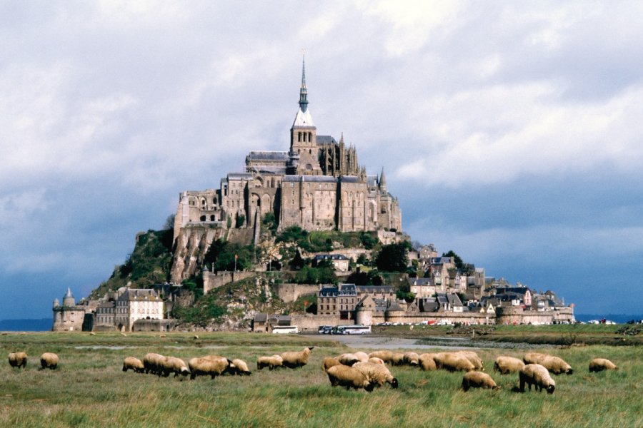 Moutons de pré-salé devant le Mont-Saint-Michel Philippe GUERSAN - Author's Image