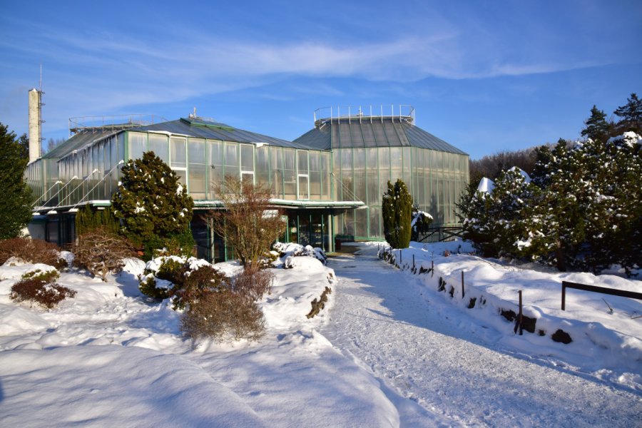 JARDIN BOTANIQUE (BOTANICKÁ ZAHRADA)