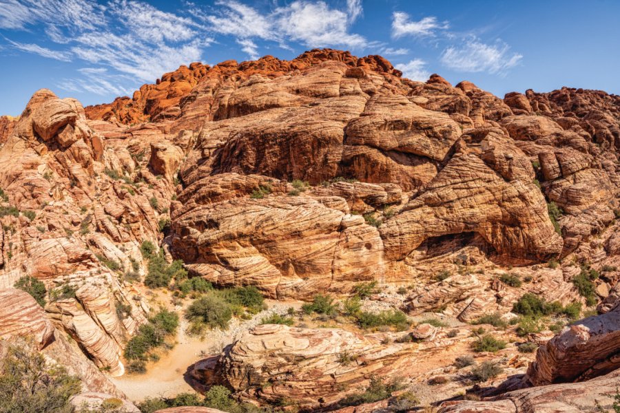RED ROCK CANYON