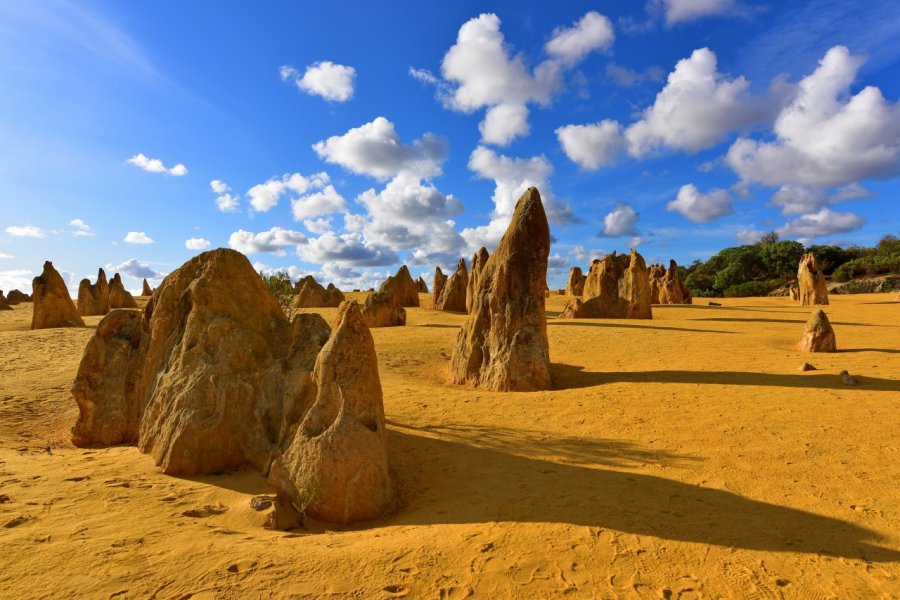 Le Pinnacles Desert, célèbre pour ses formations rocheuses calcaires, dans le parc national de Na. ordan Tan - Shutterstock.com