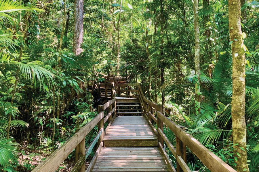 CANOPY TOWER