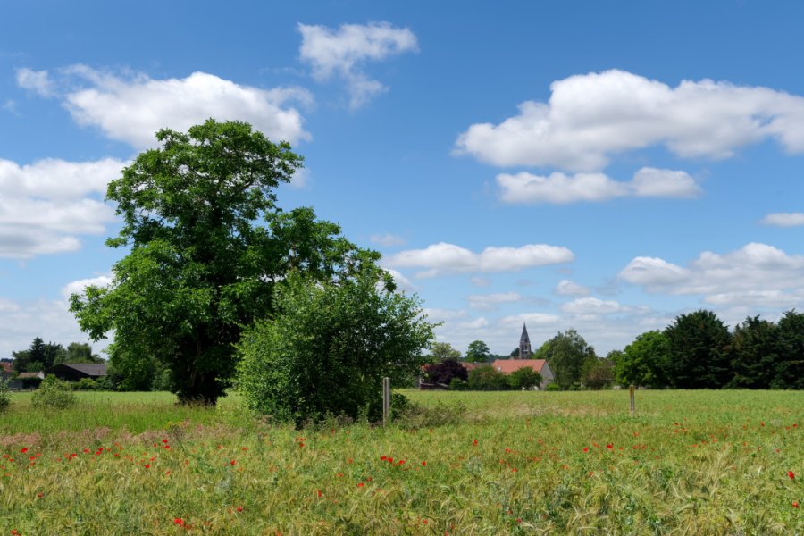 PARC NATUREL RÉGIONAL DU GÂTINAIS FRANÇAIS