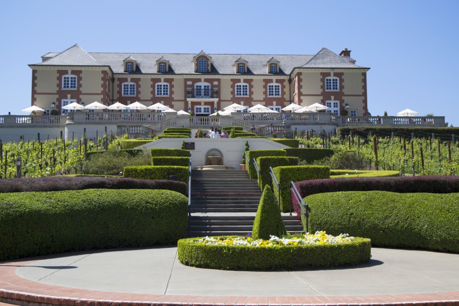 DOMAINE CARNEROS