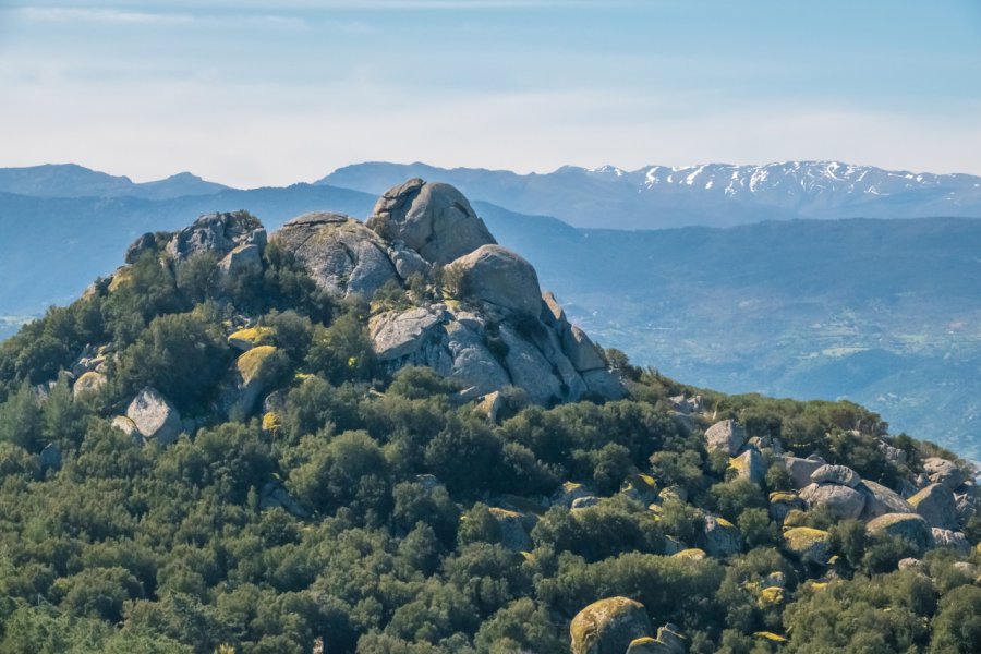 MONTE ORTOBENE