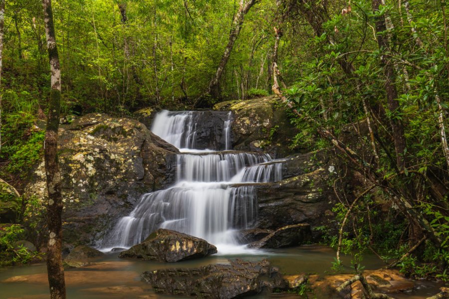 PHU RUEA NATIONAL PARK