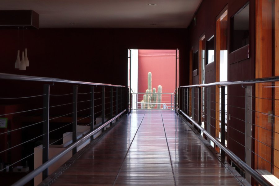 MUSEO DE LA VID Y EL VINO