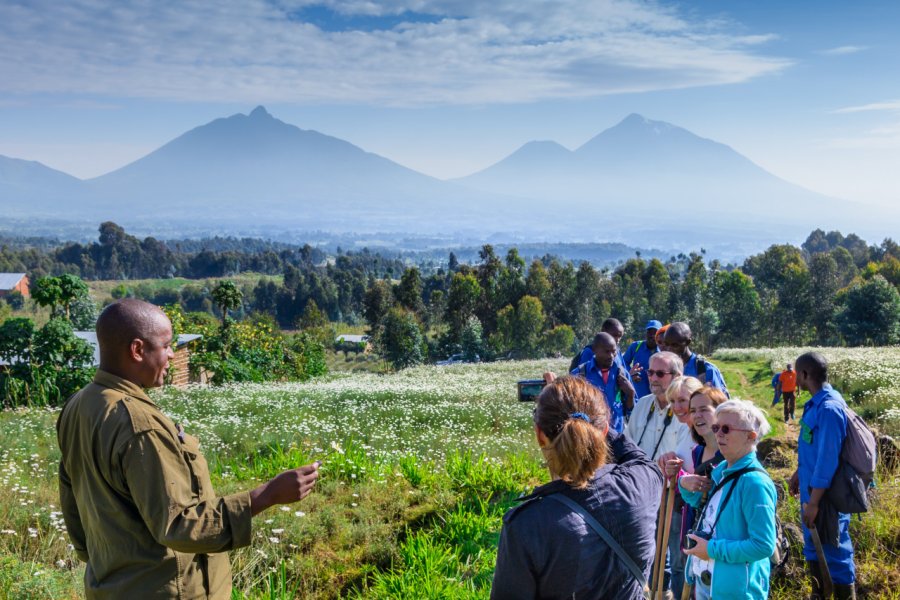 Un groupe de touristes découvre le parc national des Volcans. Tetyana Dotsenko - Shutterstock.com