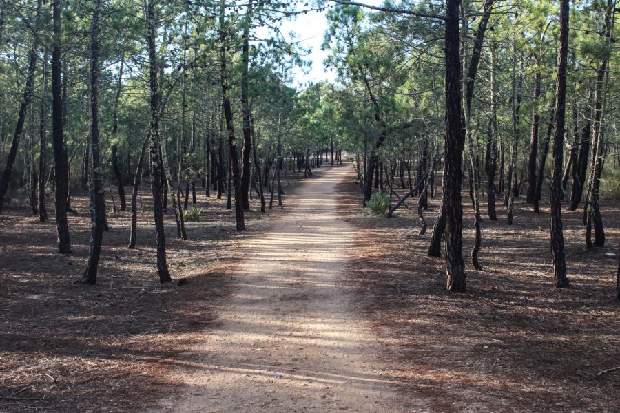 PARQUE NATURAL DO VALE DO GUADIANA