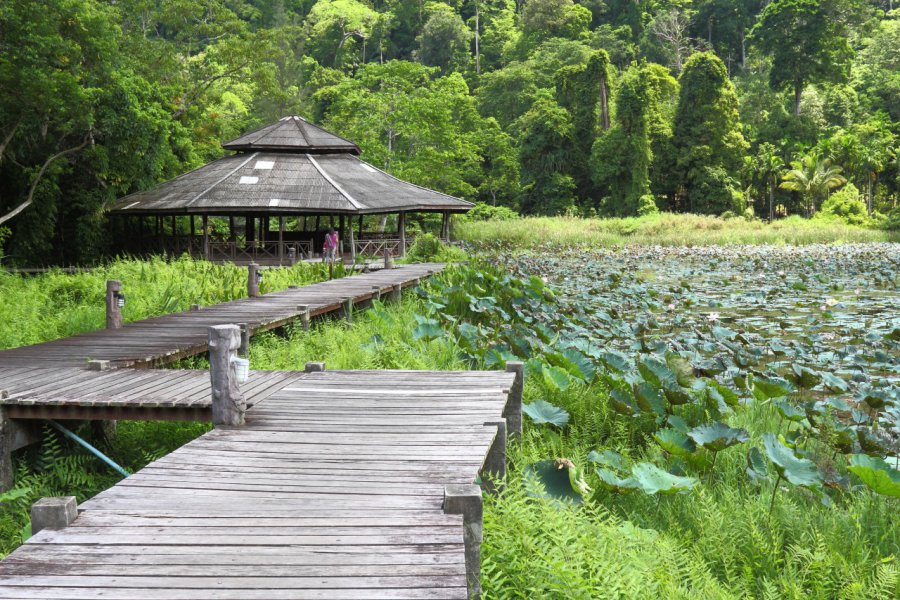 THALE BAN NATIONAL PARK