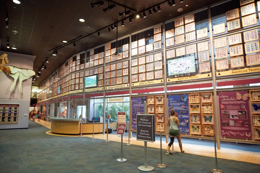 FLORIDA MUSEUM OF NATURAL HISTORY