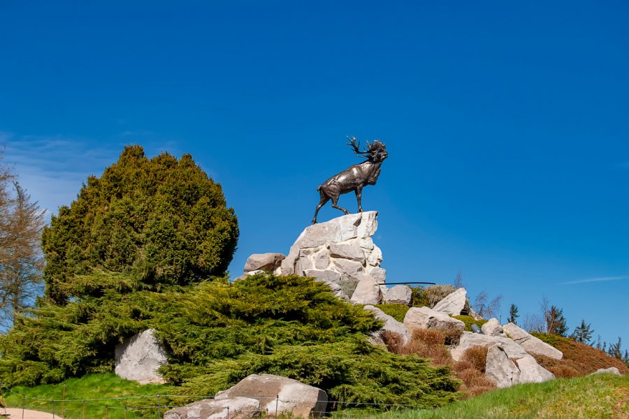MÉMORIAL TERRE-NEUVIEN DE BEAUMONT-HAMEL