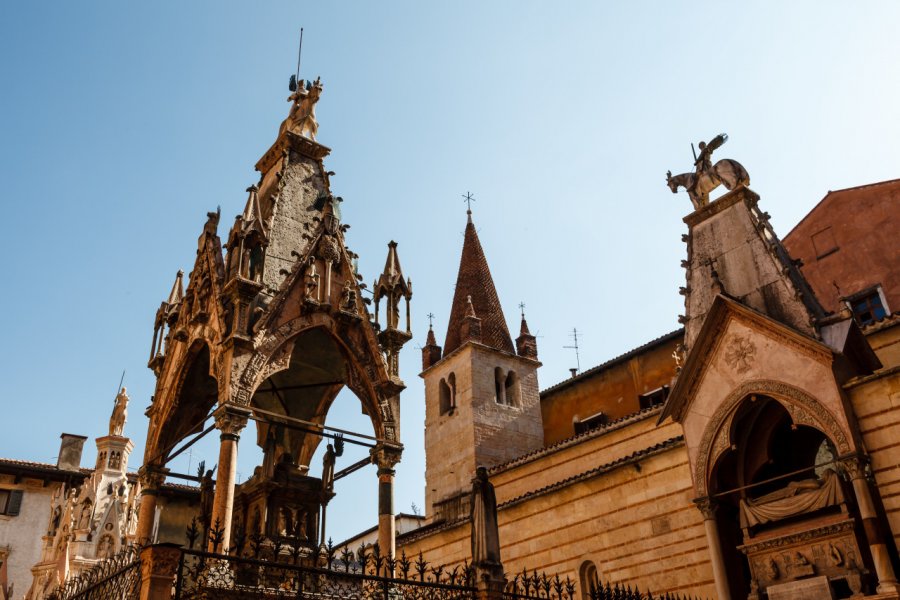 ARCHE SCALIGERE