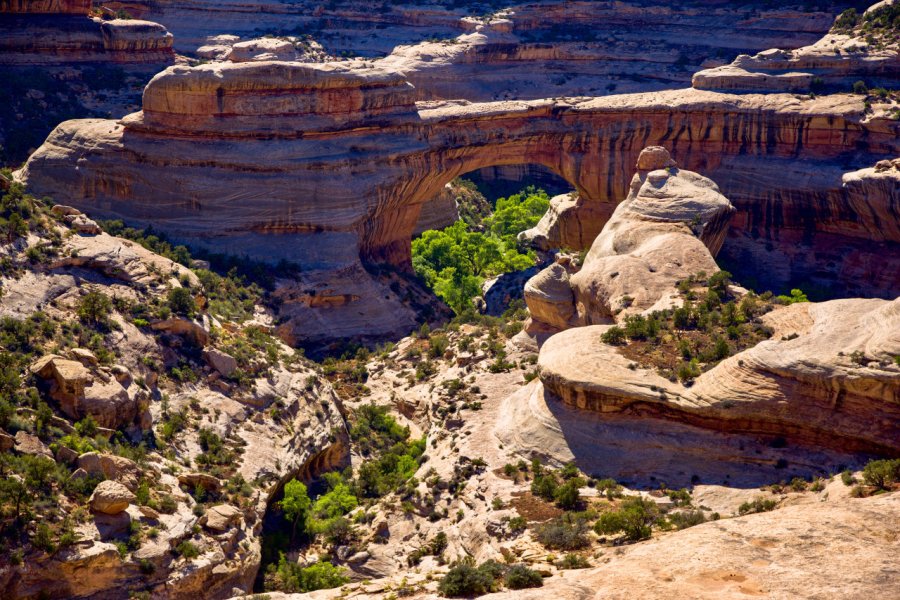 NATURAL BRIDGES NATIONAL MONUMENT
