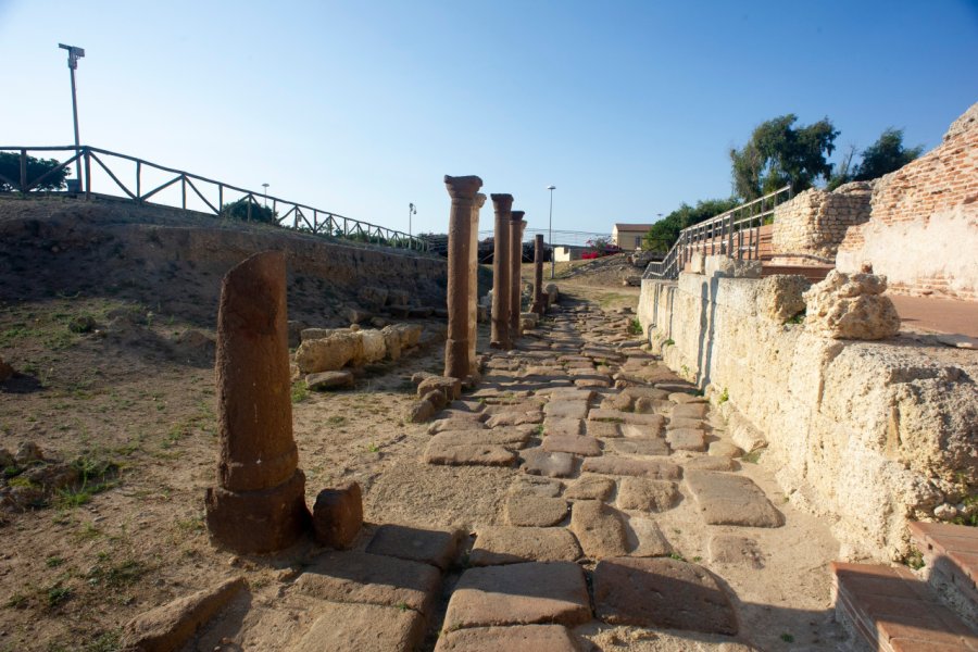 ANTIQUARIUM TURRITANO