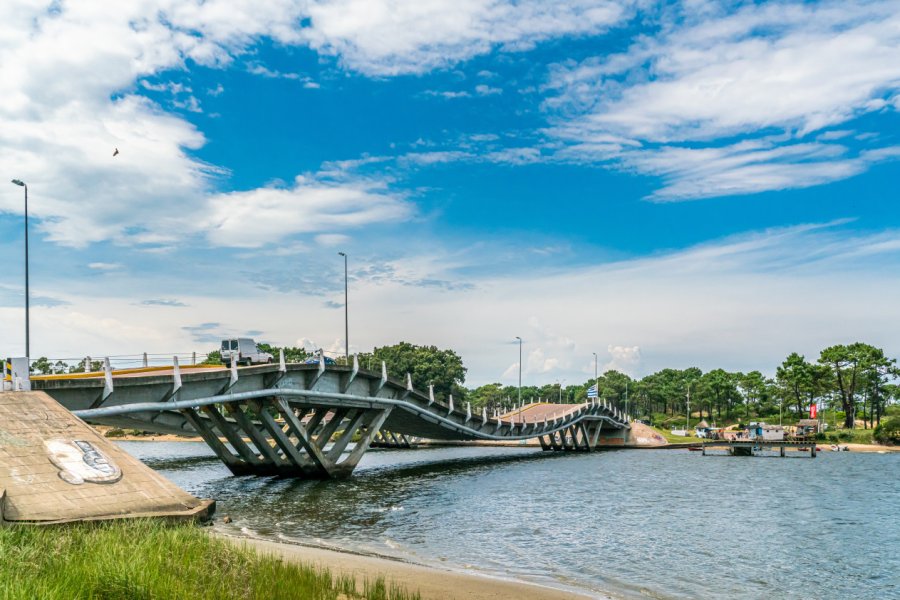PUENTE LEONEL VIERA