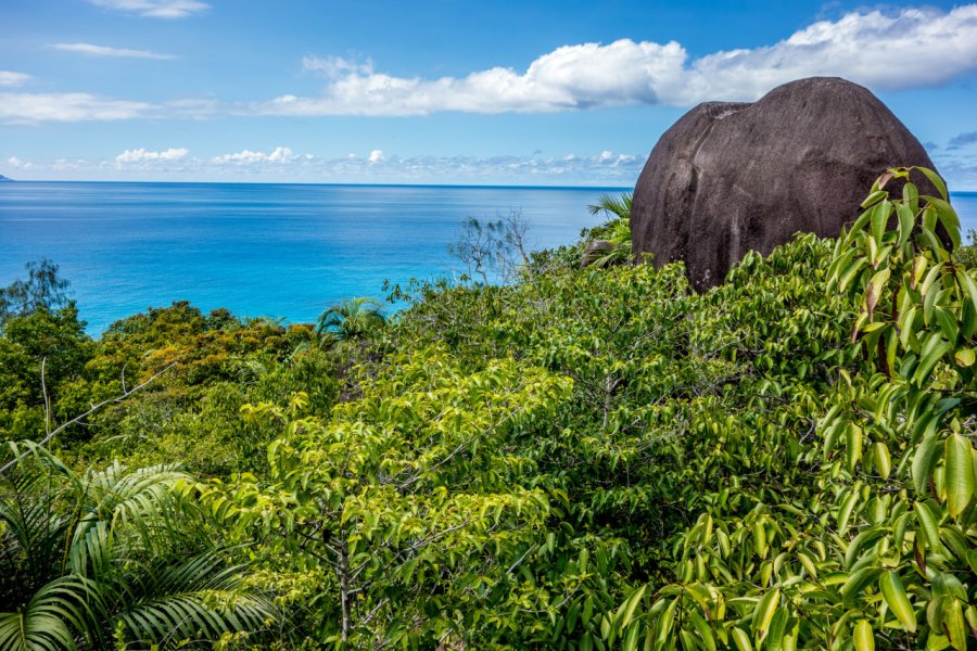 Parc national du Morne Seychellois. KarlosXII - Shutterstock.com