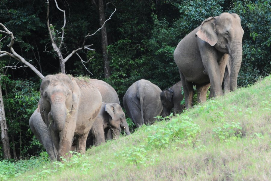 SHENDURNEY WILDLIFE SANCTUARY