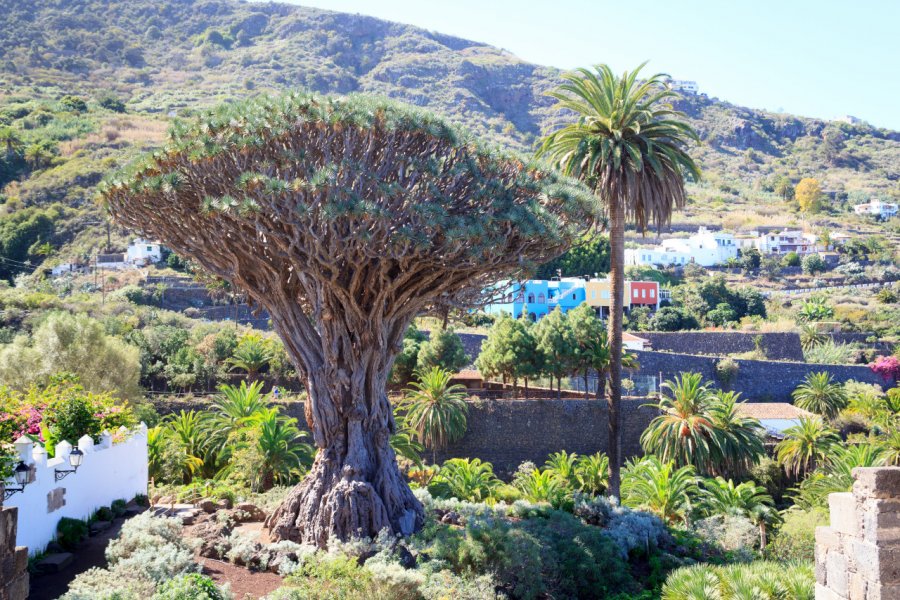 PARQUE DEL DRAGO