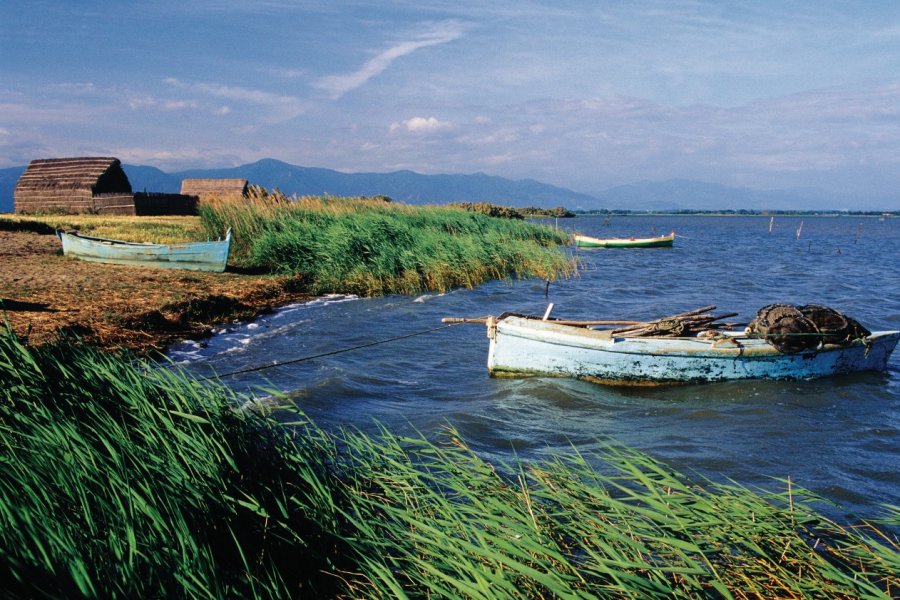 Cabane pêcheurs de l'étang de Canet Nicolas Rung - Author's Image