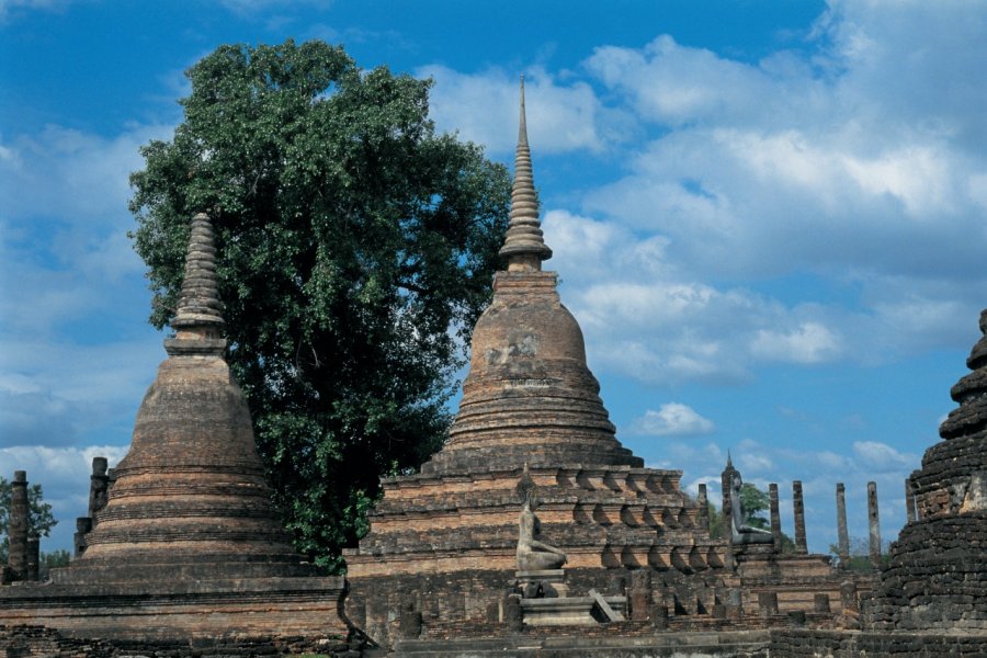 Parc historique de Sukhothai. S.Nicolas - Iconotec