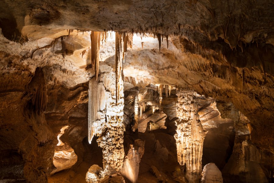 GROTTE AVEN DE LA FORESTIÈRE