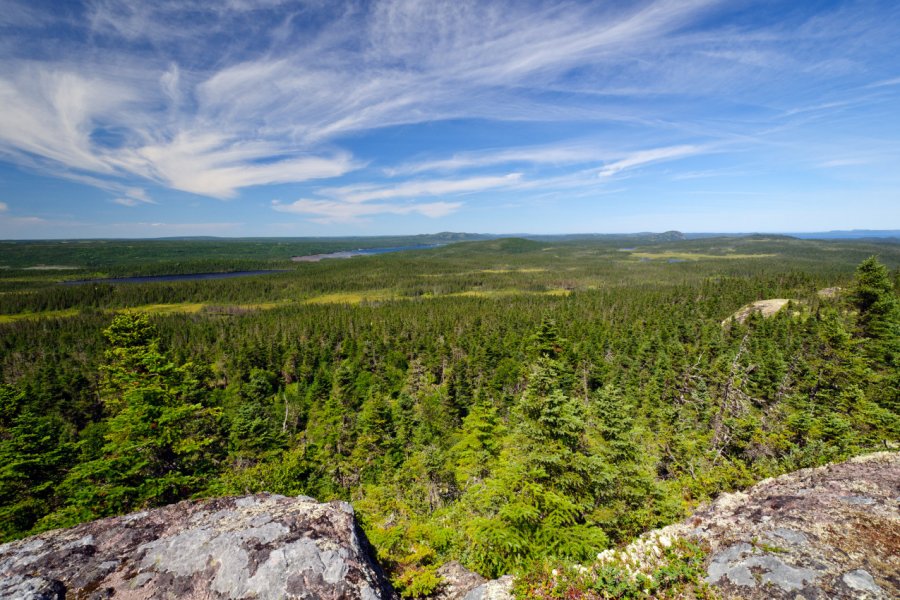 PARC NATIONAL TERRA-NOVA