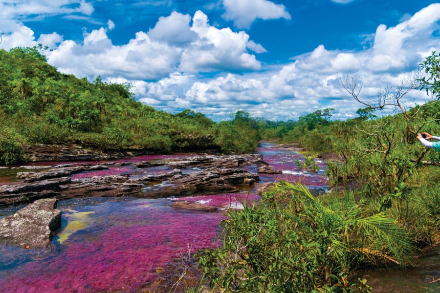 La rivière Caño Cristales. Jose carlos Zapata flores