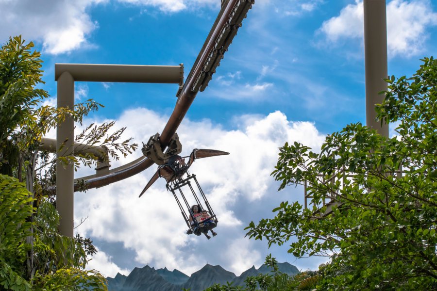 PTERANODON FLYERS