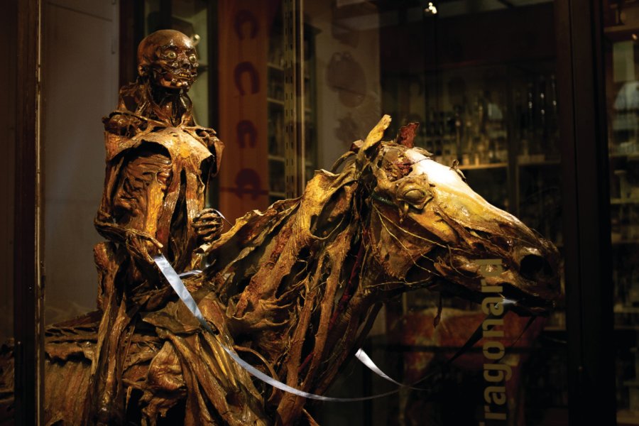 MUSÉE FRAGONARD