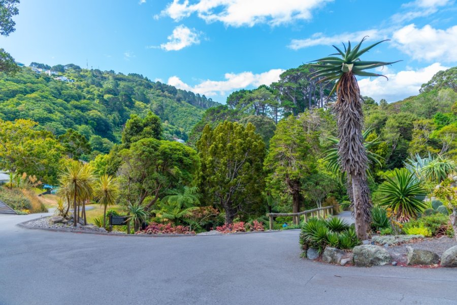 BOTANIC GARDEN