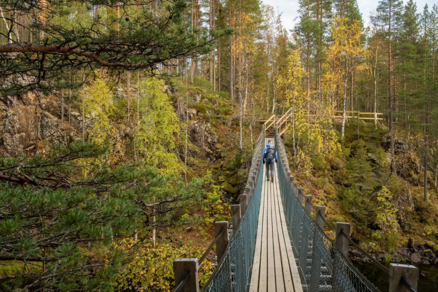 Pont suspendu au parc national Oulanka à l'automne. Mazur Travel - Shutterstock.com
