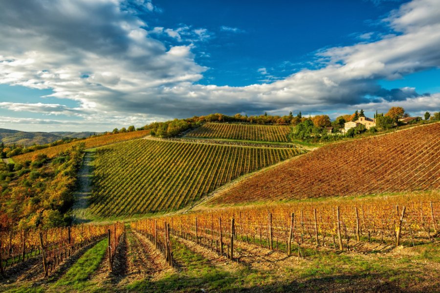 CASTELLO DI AMA