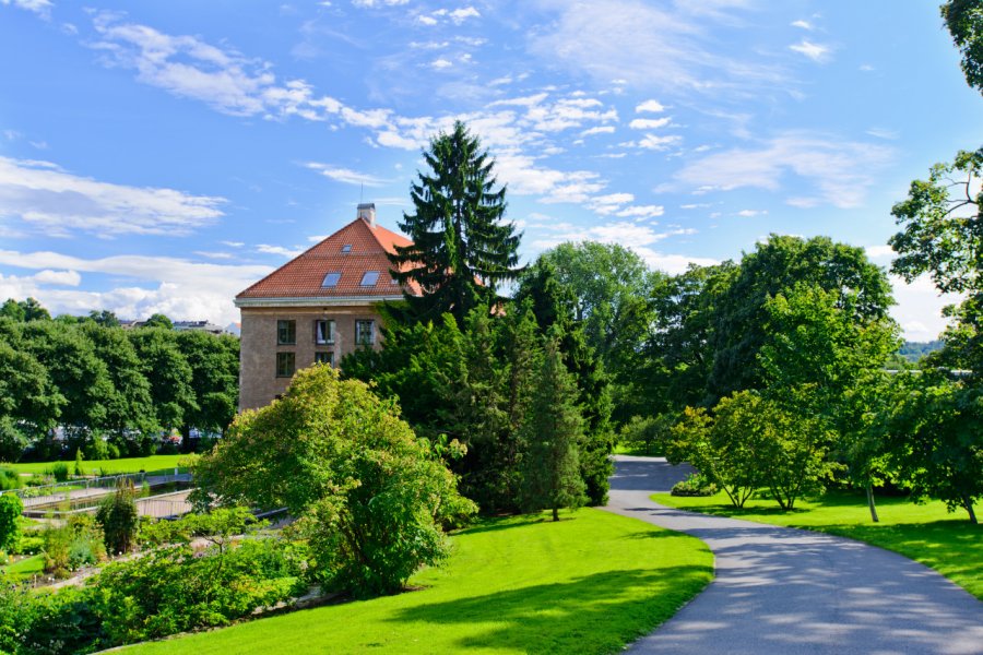 JARDIN BOTANIQUE (BOTANISK HAGE)