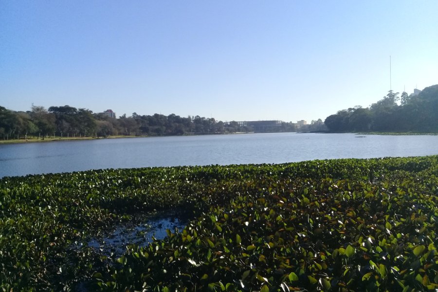 LAGO DE LA REPÚBLICA